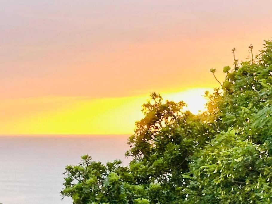 דירות פלטנברג ביי Sea View Sun Centre מראה חיצוני תמונה