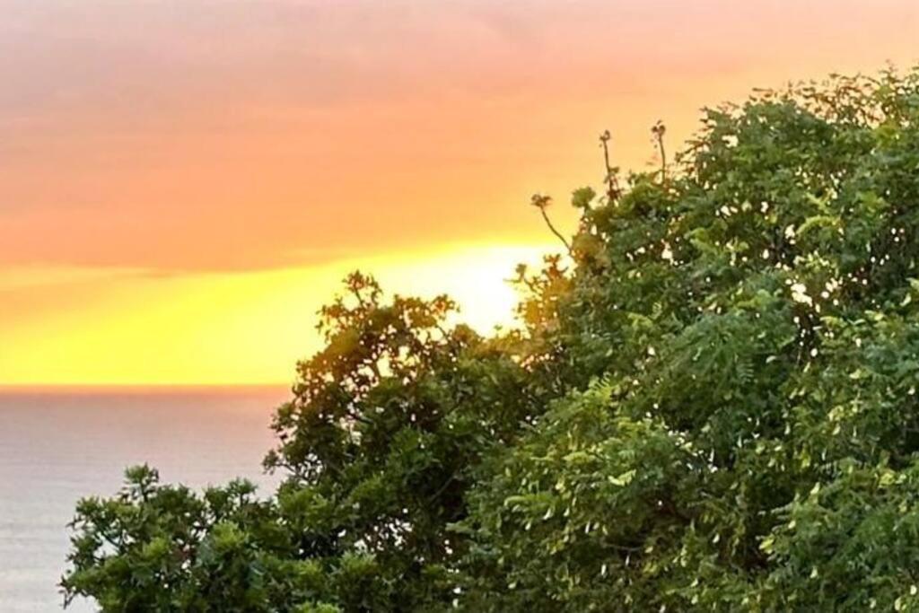 דירות פלטנברג ביי Sea View Sun Centre מראה חיצוני תמונה